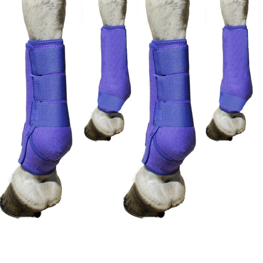 Brushing Boot Horse - Lot de 4 protections colorées pour
