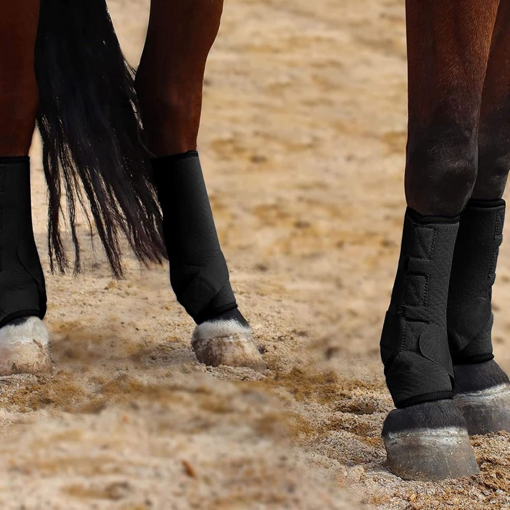 Brushing Boot Horse - Ensemble de bottes de Sport cheval