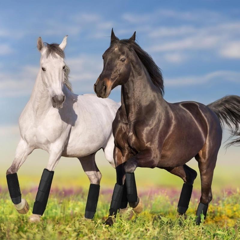 R6FE BRSITHING BOOT BOOT RÉGLA - Brushing Boot Horse avis et prix