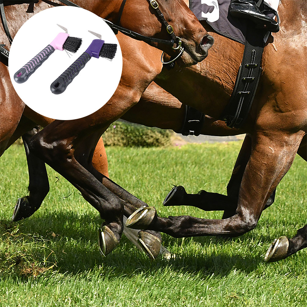 Lot de 2 brosses à sabots pour - Brushing Boot Horse avis et prix