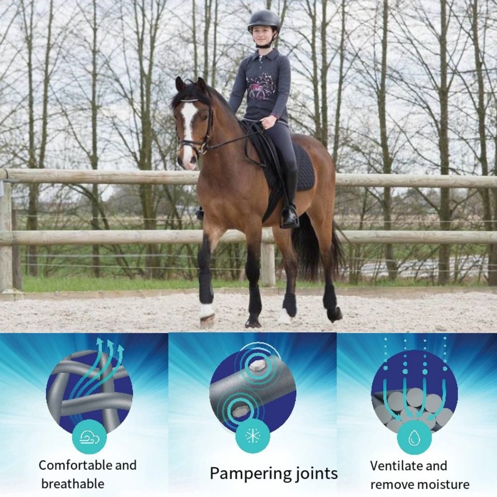 Lot de 4 protections colorées  - Brushing Boot Horse avis et prix