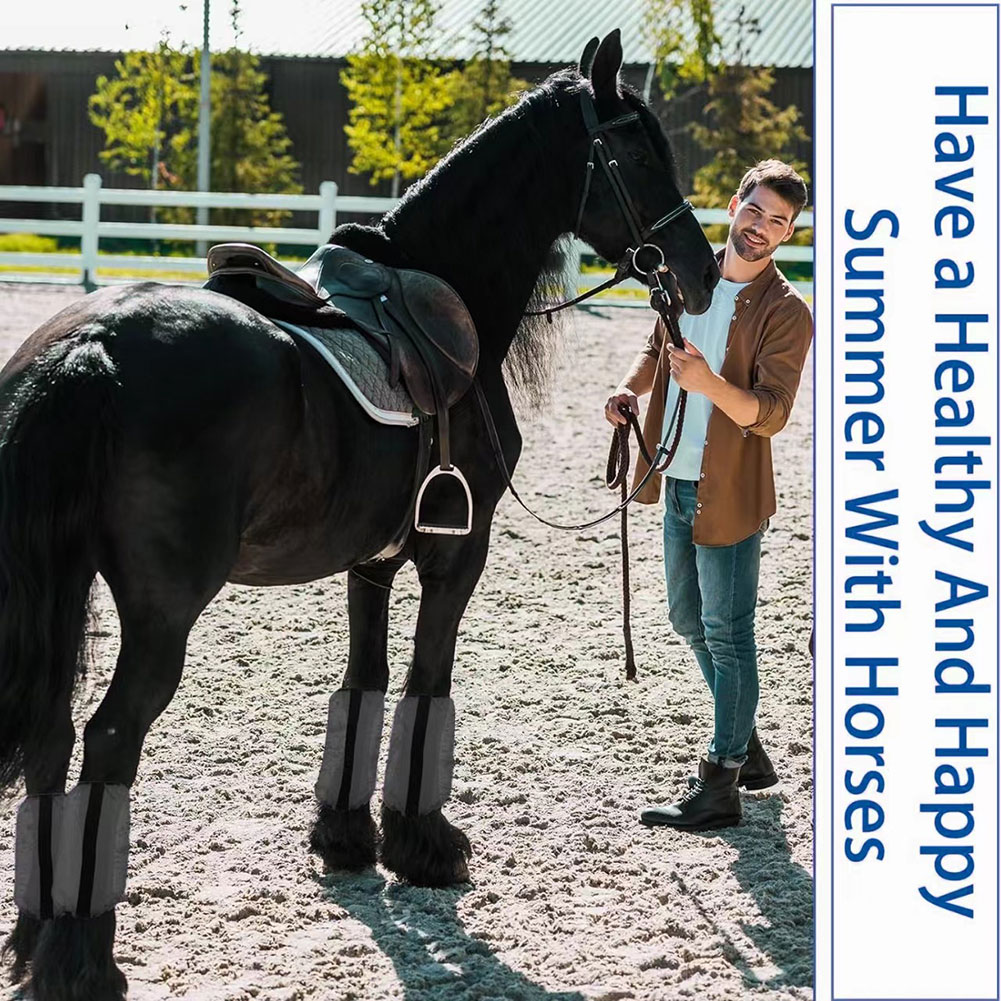 4 pièces de protège-jambes en  - Brushing Boot Horse avis et prix