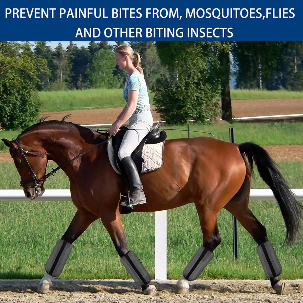 4 pièces de protège-jambes en  - Brushing Boot Horse avis et prix
