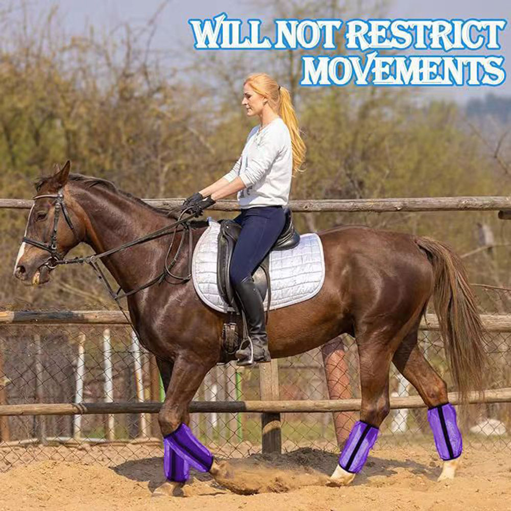 4 pièces de protège-jambes en  - Brushing Boot Horse avis et prix